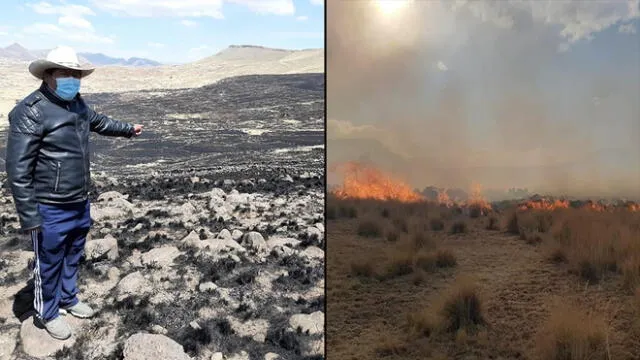 Incendio provocó la perdida de los pastizales en Huacullani y dejó en cenizas diez casas. Foto: Composición LR