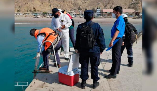 Especialistas estudian muestras del mar para determinar si hubo contaminación. Foto: Difusión