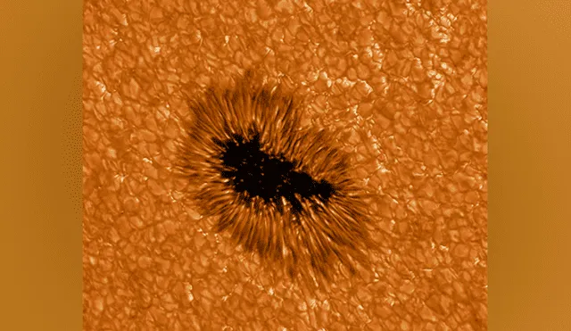 Mancha solar observada en alta resolución por el telescopio GREGOR. Foto: Leibniz-kis.de