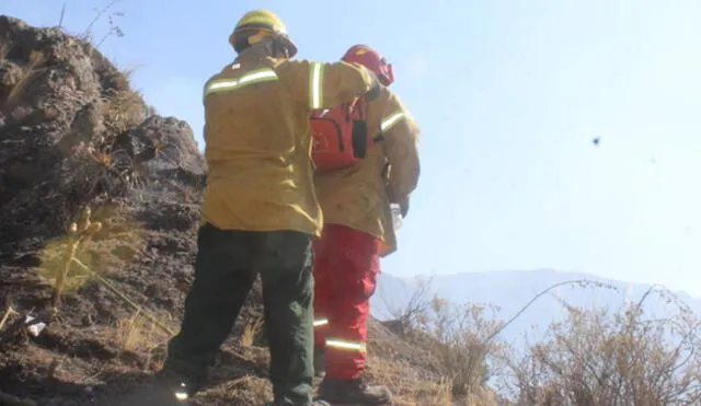 Incendios forestales en Cusco a punto de llegar a zona arqueológica. Foto: Gore Cusco