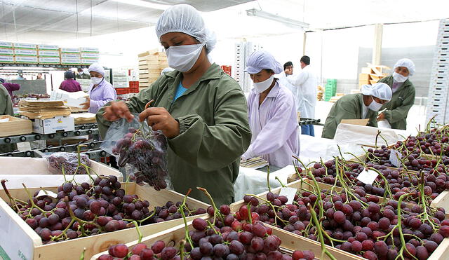 Comercio exterior. Foto: Mincetur