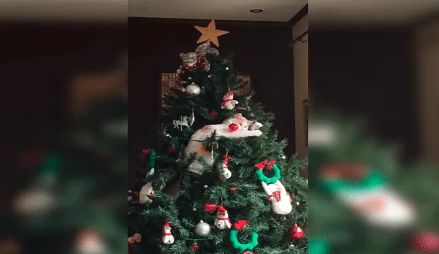 En Facebook, un travieso gato no tuvo mejor idea que destrozar el árbol de Navidad que preparó su dueña.