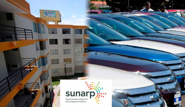 La plataforma de Sunarp te permite realizar distintas consultas importantes de forma gratuita. Foto: composición / Andina / Sunarp