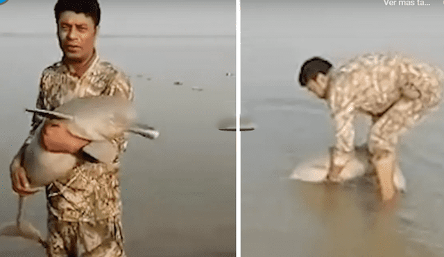 Un hombre de Pakistán salvó la vida de un delfín en la orilla del río. Foto: captura de YouTube.