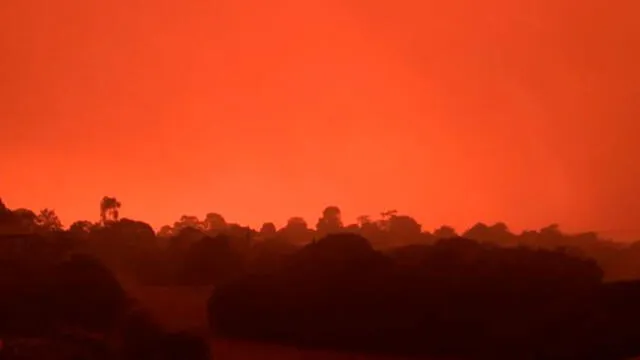 Incendios forestales en Australia. Foto: Difusión