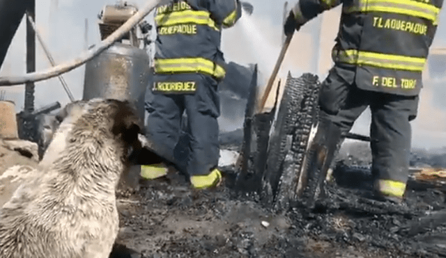 Desliza para conocer detalles del video viral de Facebook. Foto: Captura.