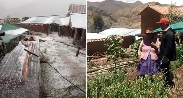 Piden ayuda para campesinos que perdieron sus cultivos tras intensa granizada en Cusco