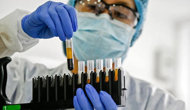 Las seis vacunas son de compañías e institutos de China, Estados Unidos y Reino Unido. Foto: AFP.