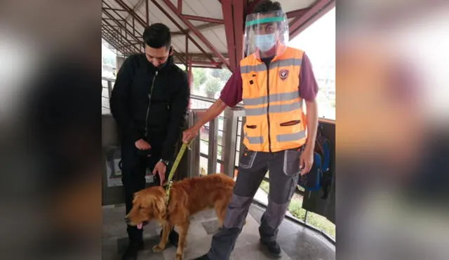 El can permaneció al lado de los agentes de seguridad y mostró toda su emoción al reencontrarse con su dueño. (Foto: captura de Twitter)