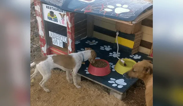 Vía Facebook: este es el primer 'restautant canino' para que Firulais tenga una cita romántica [FOTOS]