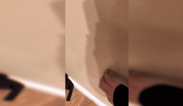 Desliza las imágenes para ver al travieso gato que quedó atrapado entre las paredes. Foto: captura de YouTube