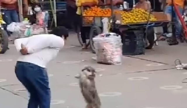 Desliza para ver las siguientes imágenes del video viral. Foto: Captura/Facebook