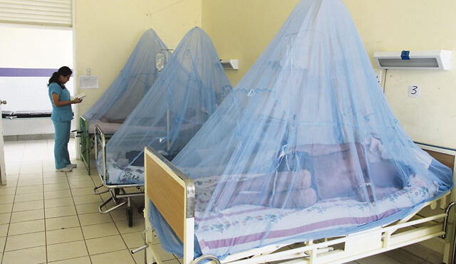 Lambayeque: Anciana es la segunda víctima mortal del dengue en la región