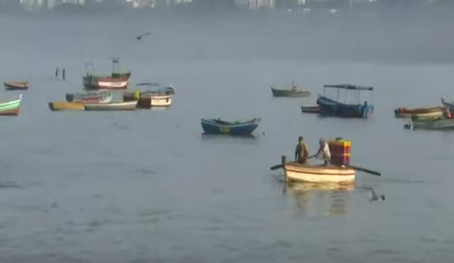 Pesca diaria no alcanza ni para el autoconsumo de pescadores artesanales. VIDEO: Panamericana