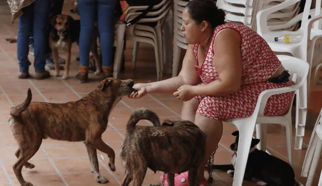 Ana Cristina Martínez juega con sus perros el 12 de enero de 2023 en Colombia. Foto: EFE