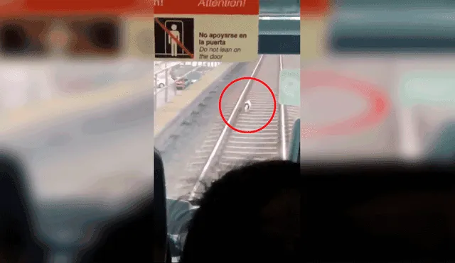 Facebook: perrito queda atrapado en las vías del tren eléctrico, pero tiene una emotivo final [VIDEO]