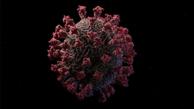 Modelo del coronavirus SARS-CoV-2. Fuente de imagen: Visual Science.