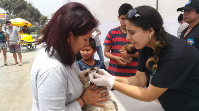 Mascotas recibirán atención veterinaria gratuita