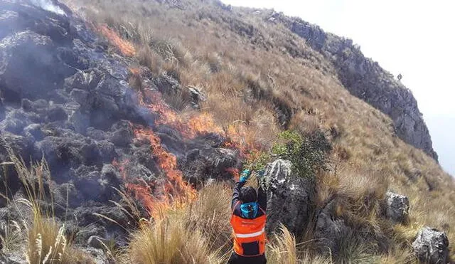 Apurímac: Reaviva voraz incendio que amenaza al Santuario Nacional de Ampay