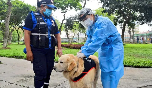 Minsa cumplirá con el cronograma de vacunación para este 2020. Foto: Minsa