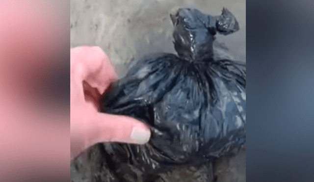 Facebook viral: se topa con extraña bolsa abandonada en río de Inglaterra y encuentra increíble tesoro dentro