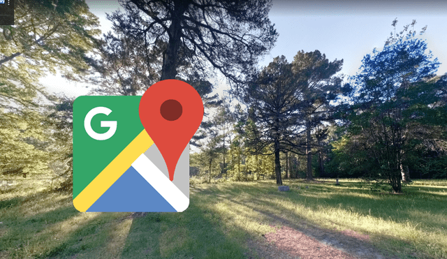 Google Maps: mira el escalofriante hallazgo en un bosque de Estados Unidos [FOTOS]
