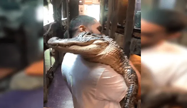 En YouTube, un joven no tuvo temor en cargar un enorme cocodrilo y para su buena suerte no sufrió un ataque.