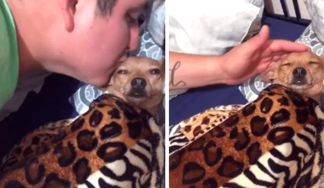 En Facebook, un joven fue captado en una amorosa escena al lado de un perro que rechazó para adoptarlo.