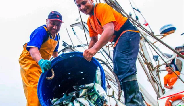 Publican proyecto para contratación de seguro de accidentes de pescadores artesanales