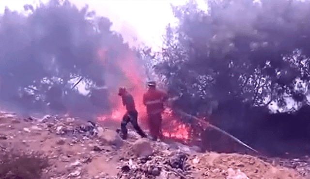 Registran incendio forestal que afecta a población de Talara [VIDEO]