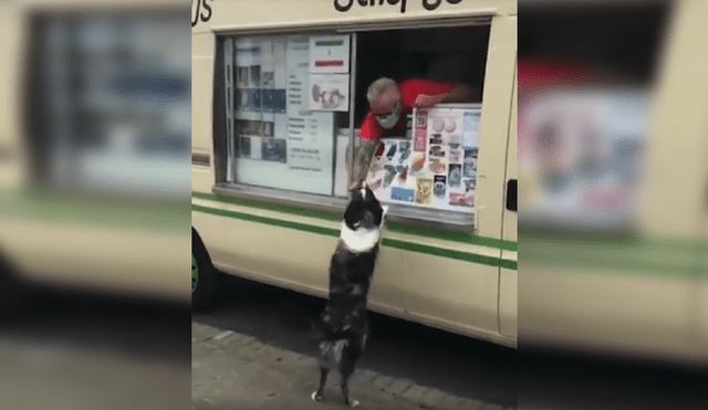 Desliza las imágenes para conocer la tierna reacción de un perro cuando vio al camión de helados. Fotos: Captura.