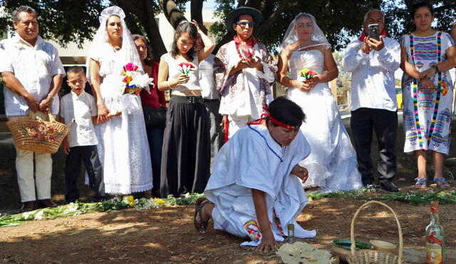 México: Ambientalista peruano promueve boda colectiva con árboles