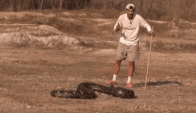 YouTube:Joven se arriesga y molesta a gigantesca serpiente cuando ocurre lo menos pensado