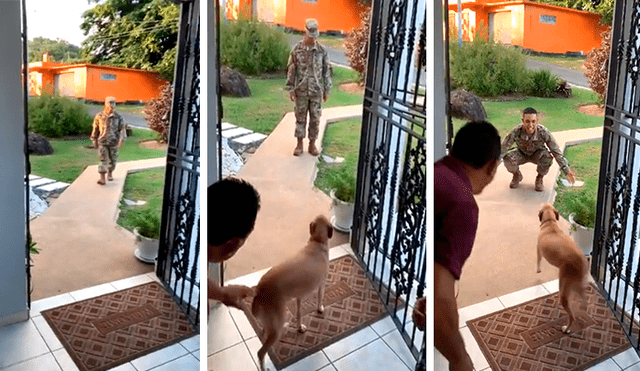 En YouTube, un joven militar retornó a su hogar tras meses de ausencia y recibió un tierno abrazo de su mascota.