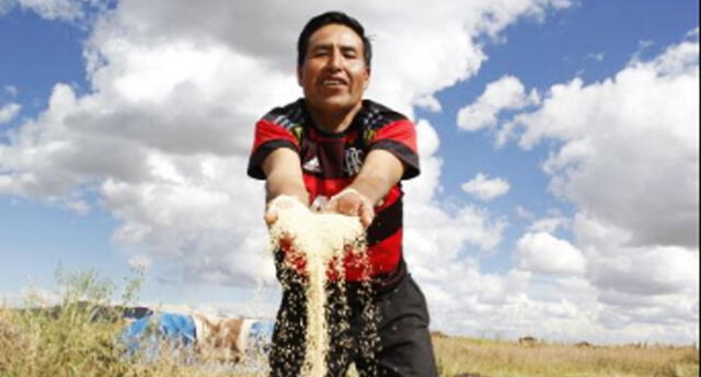 Agricultores de Puno combaten con la anemia con productos orgánicos 