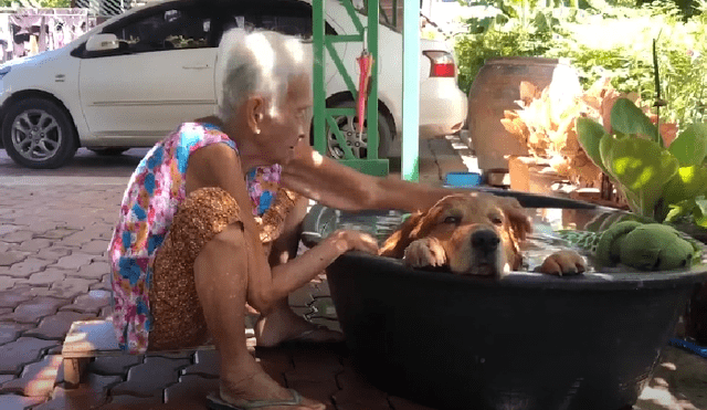 Desliza las imágenes para ver más detalles de esta tierna escena que es viral en YouTube.