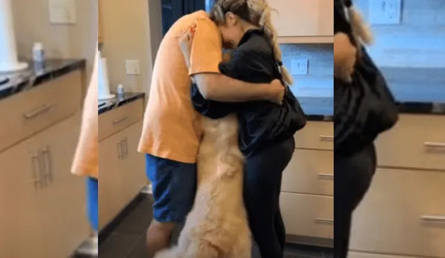 Video es viral en Facebook. El can observó que pareja estaba a punto de abrazarse y darse un beso, y fue hasta ellos con una graciosa conducta para llamar su atención.