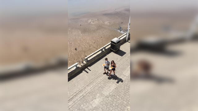YouTube: Caminan por la playa comiendo un postre, cuando reciben una inesperada visita [VIDEO]