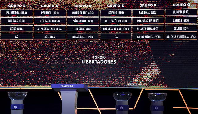 La Copa Libertadores 2020 se suspende hasta hasta fin de mes por el coronavirus. Foto: AFP