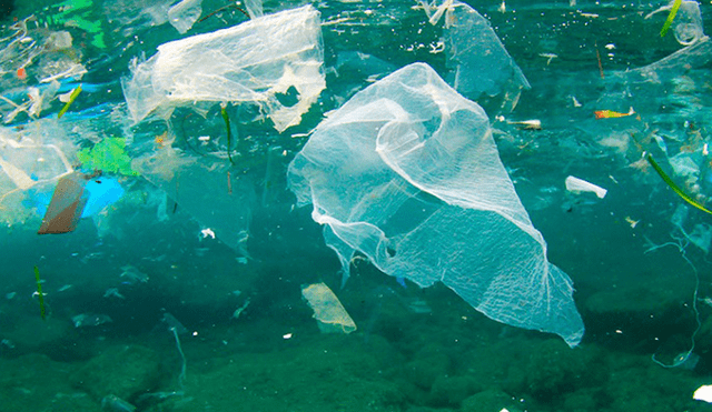 Aprueban dictamen de Ley que busca regular el uso del plástico