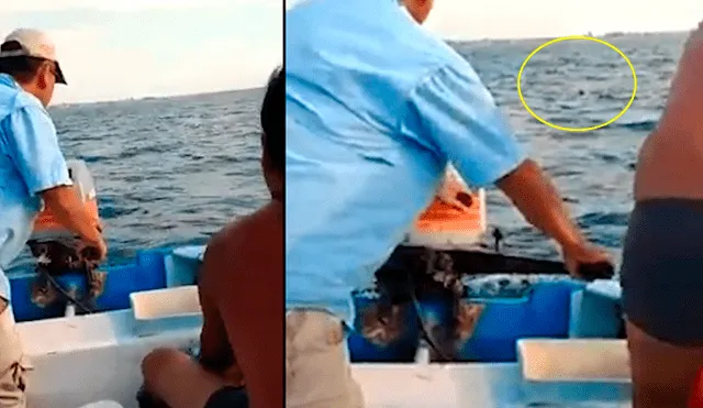 Pescadores hallan misteriosa criatura flotando en el mar, se acercan y descubren lo trágico [VIDEO]