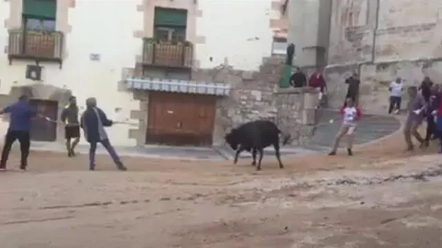 YouTube: vaquilla atada por los cuernos grita de dolor mientras intenta huir de fiesta taurina [VIDEO]