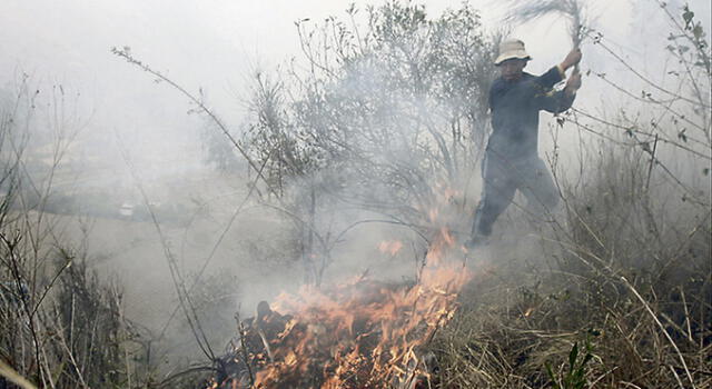 Se reportaron en el año 41 incendios forestales en Cusco