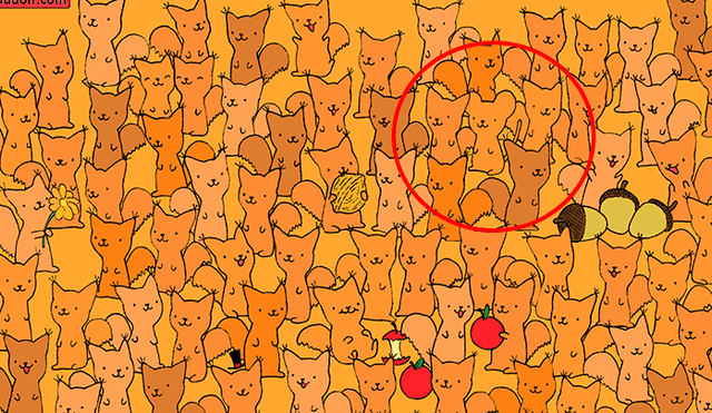 Facebook viral: halla al ratón escondido entre zorros de colores, el nuevo reto visual que casi nadie puede resolver
