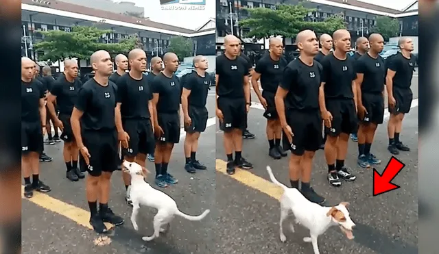 Facebook viral: cadetes debían permanecer inmóviles, pero travieso perro pone a prueba su concentración