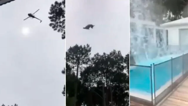 El animal fue lanzado desde un helicóptero en movimiento y el video generó el repudio de miles en redes. Foto captura