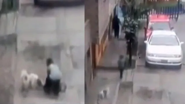 Independencia: sujeto utilizó a niño para robar una perrita de vivienda [VIDEO]