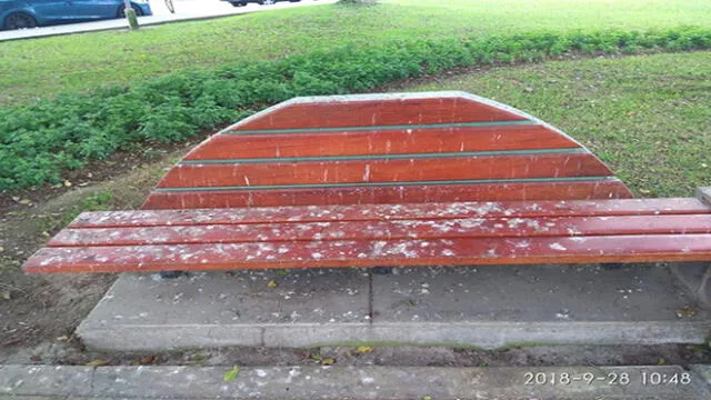 #YoDenuncio: banca de parque inutilizable por falta de mantenimiento