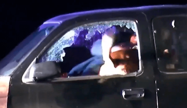 Perro policía salta por la ventana de un carro para detener a conductor fugitivo [VIDEO]
