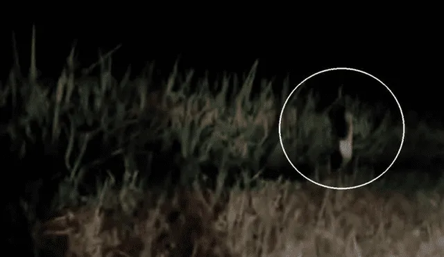 YouTube viral: terror genera terrorífica criatura humanoide filmada corriendo en descampado [VIDEO]